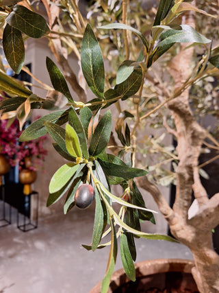 Faux Olive Tree 250cm