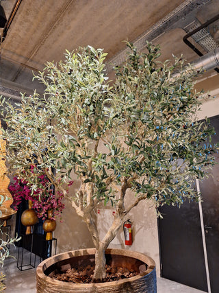 Faux Olive Tree 250cm