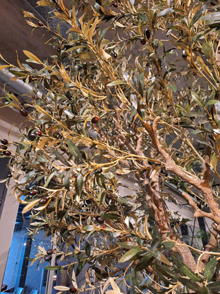 Faux Olive Tree 250cm