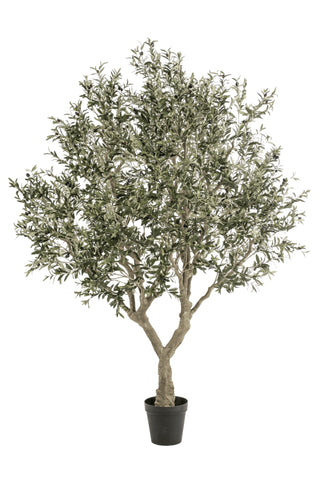Faux Olive Tree 250cm