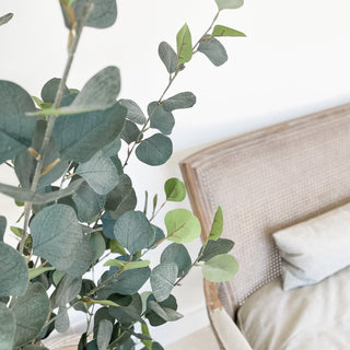 Faux Large Eucalyptus Tree 180cm