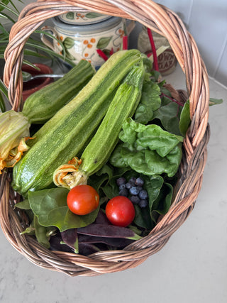 A beginners guide to growing your own food