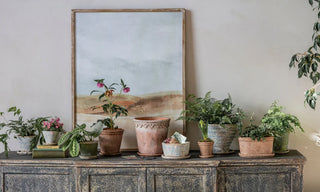 Planters & Pots