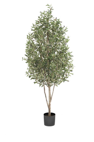 Faux Olive Tree - Extra Large 170cm