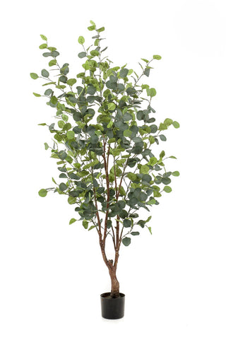 Faux Eucalyptus Tree 140cm