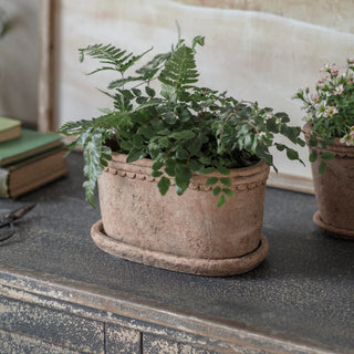 Weathered Stone Oval Planter - Pre Order Expected August