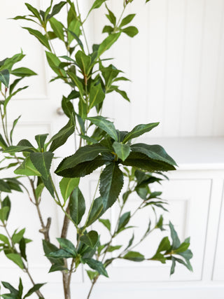 Faux Tea Leaf Tree 120cm