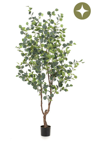 Faux Large Eucalyptus Tree 180cm