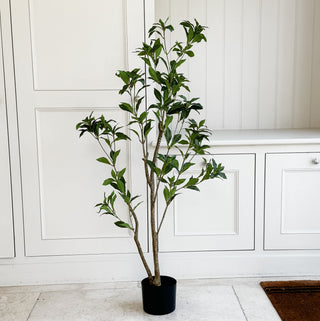 Faux Tea Leaf Tree 120cm