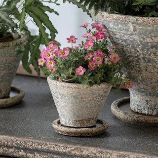Weathered Terracotta Tapered Planter with Saucer - Pre Order Expected August