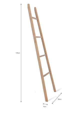 Southbound Towel Ladder