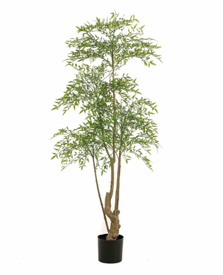 Faux Ruscus Tree 180cm