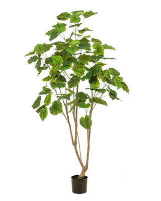 Faux Ficus Tree 180cm