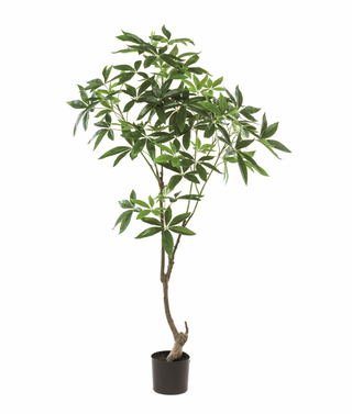 Faux Pachira Tree 150cm