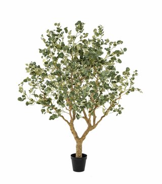 Faux Eucalyptus Botanic Tree 240cm