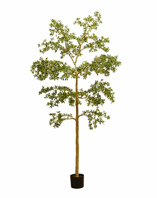 Faux Bucida Tree Deluxe 290cm