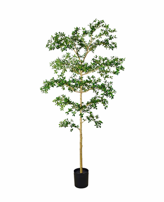 Faux Bucida Tree Deluxe 240cm