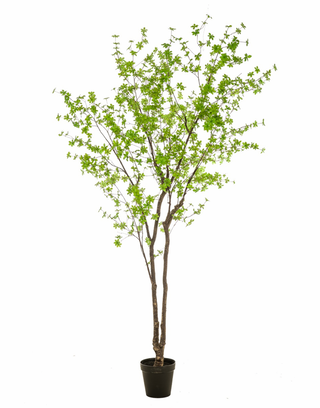 Faux Tropaeolum Tree 300cm