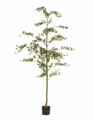 Faux Bucida Tree 210cm