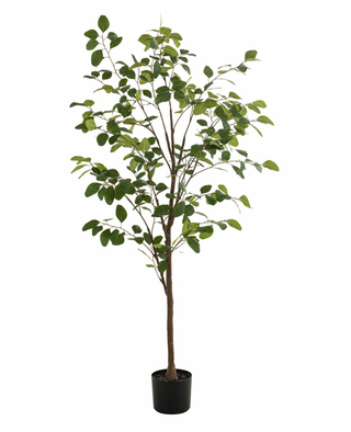Faux Eucalyptus Tree 170cm