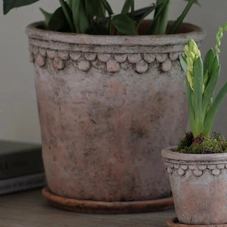 Rustic Cement Planter with Saucer - Pre Order Expected August