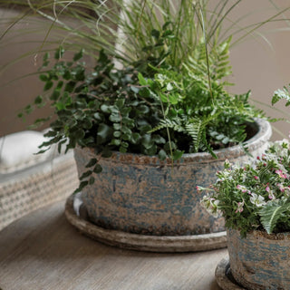 Weathered Terracotta Planter with Saucer - Pre Order Expected August