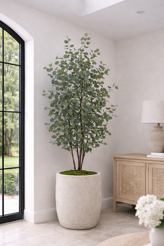 Faux Large Eucalyptus Tree 180cm