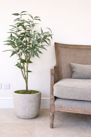 Faux Eucalyptus Tree 115cm