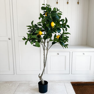 Faux Lemon Tree 150cm