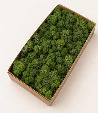 Preserved Moss Styling Tray - 385g