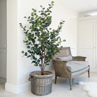 Eucalyptus Duo 180cm + 140cm Faux Tree Bundle