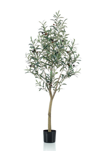 Faux Large Olive Tree 140cm - Pre Order Expected March