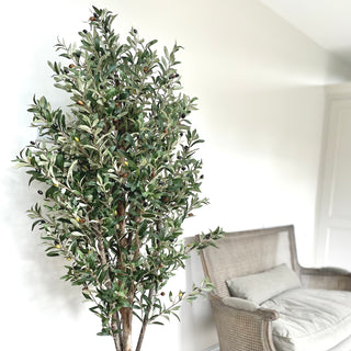 Faux Olive Tree - Extra Large 170cm