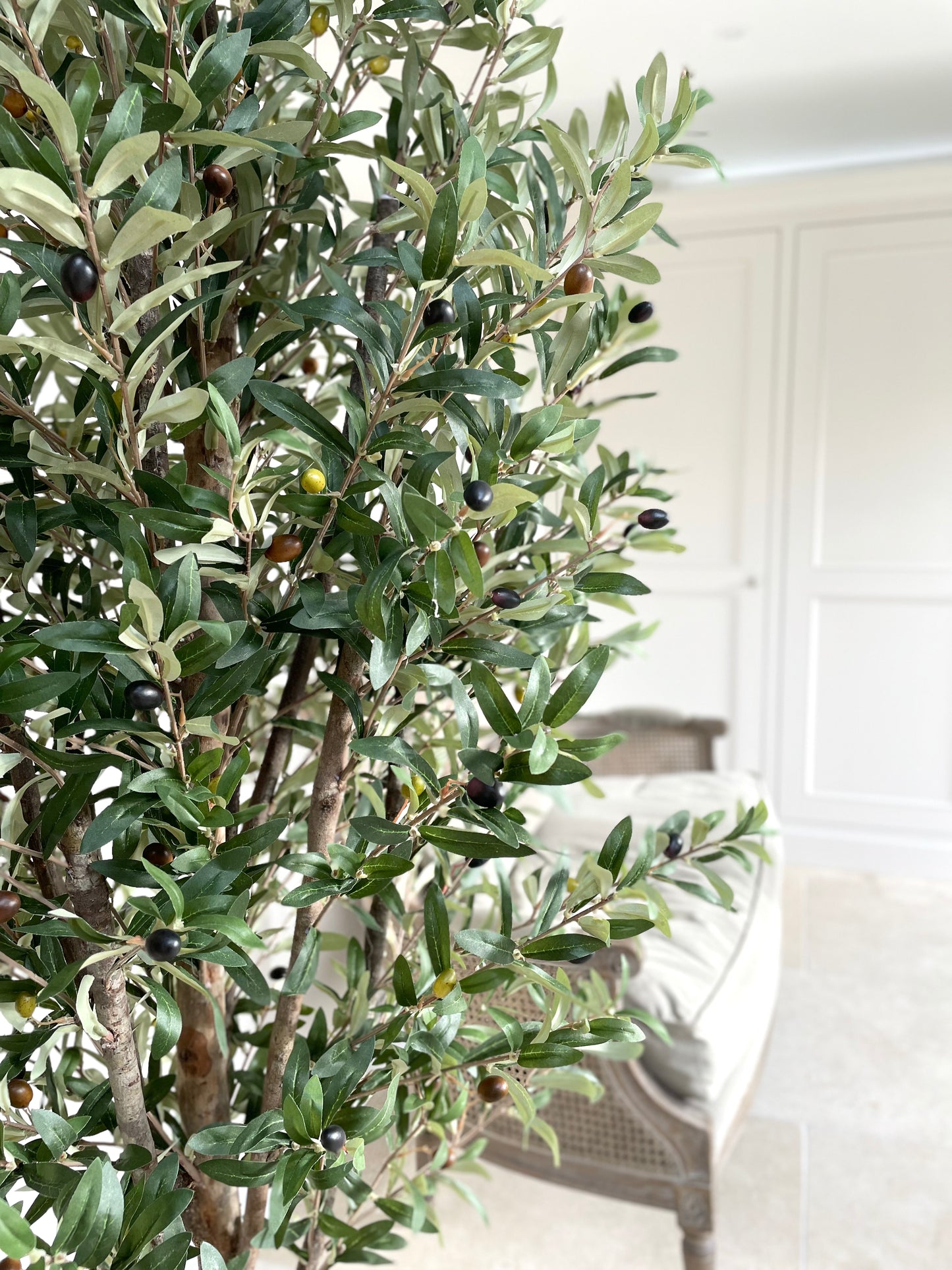 Faux Olive Tree - Extra Large 170cm - Pre Order Expected December / Early January